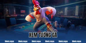 xem tướng gà