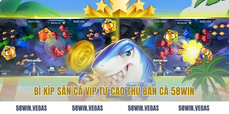 Bí Kíp Săn Cá VIP Từ Cao Thủ Bắn Cá 58Win