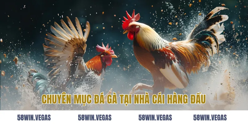 Chuyên Mục Đá Gà Tại Nhà Cái Hàng Đầu