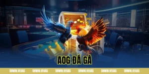 AOG đá gà