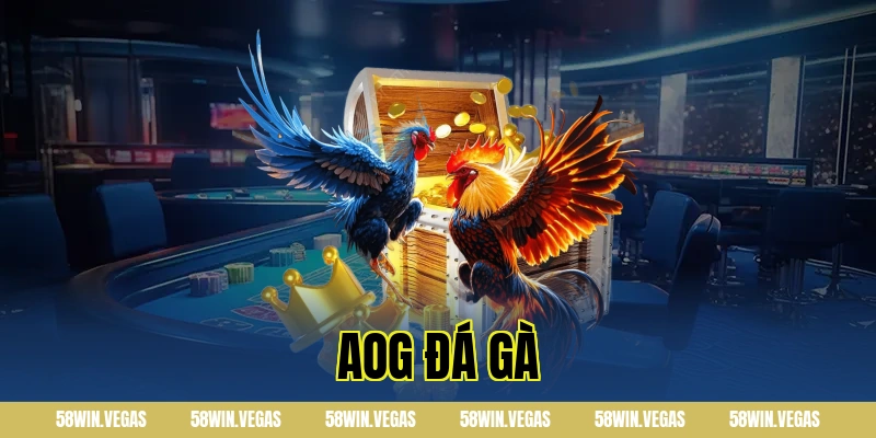 AOG đá gà