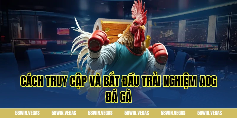 Cách truy cập và bắt đầu trải nghiệm AOG đá gà