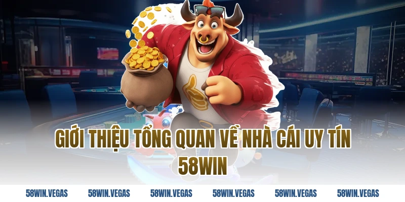 Giới thiệu tổng quan về nhà cái uy tín 58WIN